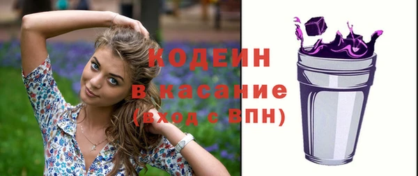 твердый Новодвинск
