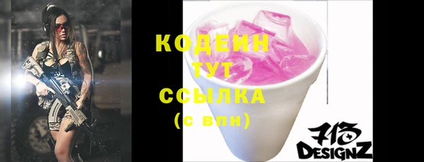 твердый Новодвинск