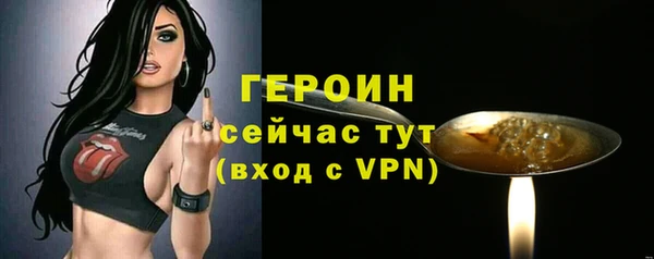 твердый Новодвинск