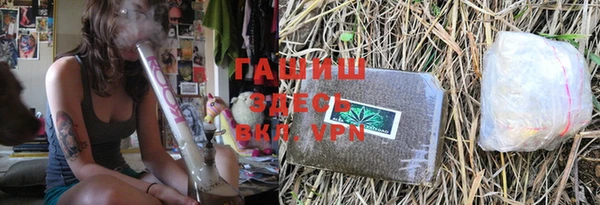 твердый Новодвинск