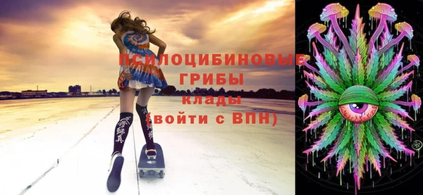 твердый Новодвинск