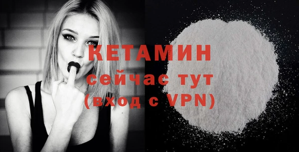 твердый Новодвинск