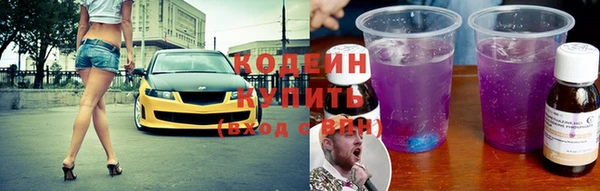 твердый Новодвинск