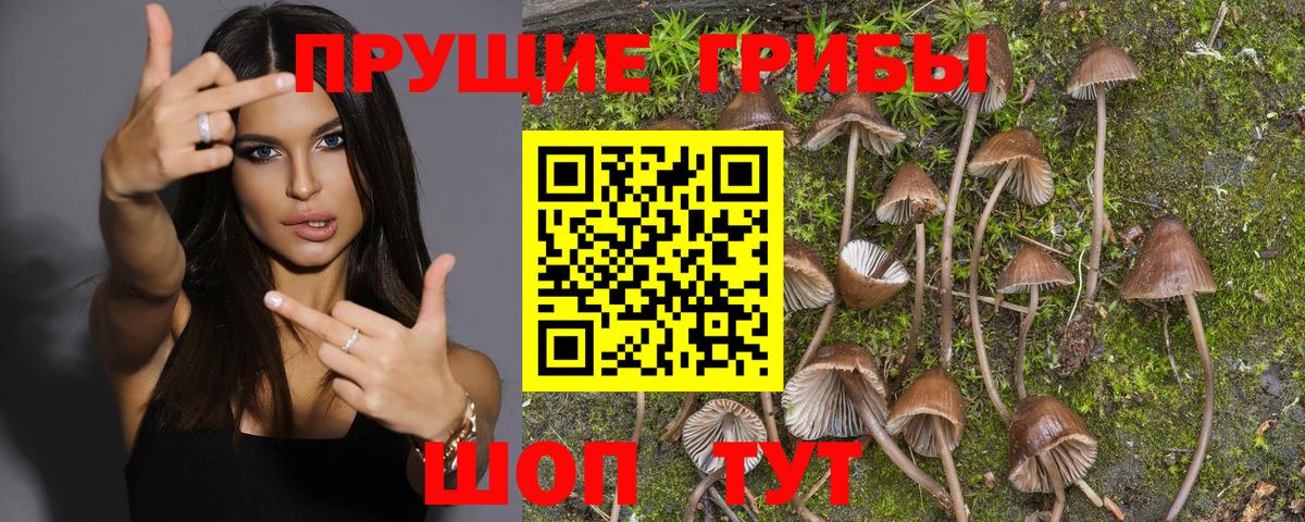 Псилоцибиновые грибы MAGIC MUSHROOMS Лабытнанги