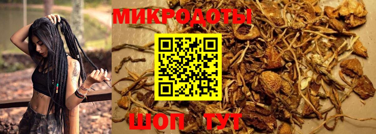 Галлюциногенные грибы GOLDEN TEACHER Лабытнанги